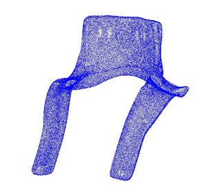Head and Neck Protection System "HANS" 